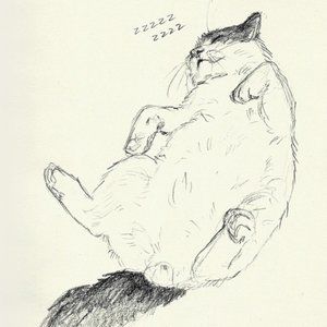 Meet your Posher, Anzu